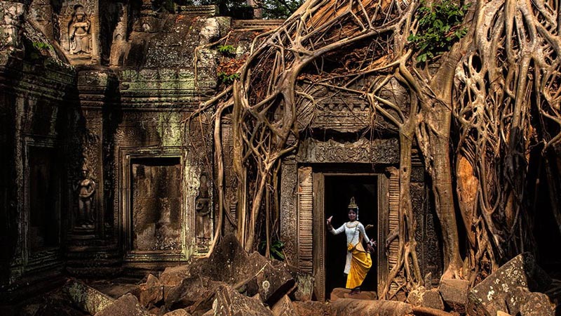 Ta Prohm Temple in Cambodia 