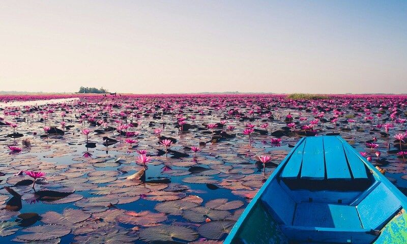 Red Lotus Lake in Udon Thani