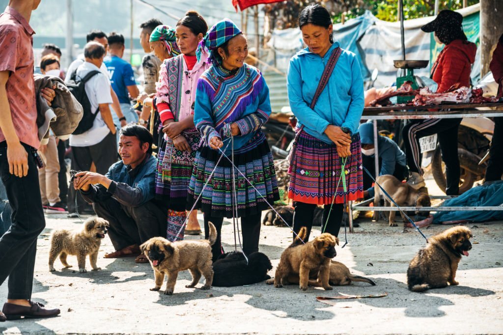 The ethnic market in Bac Ha