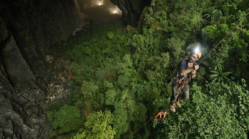 Bosque tropical dentro de la cueva de Son Doong