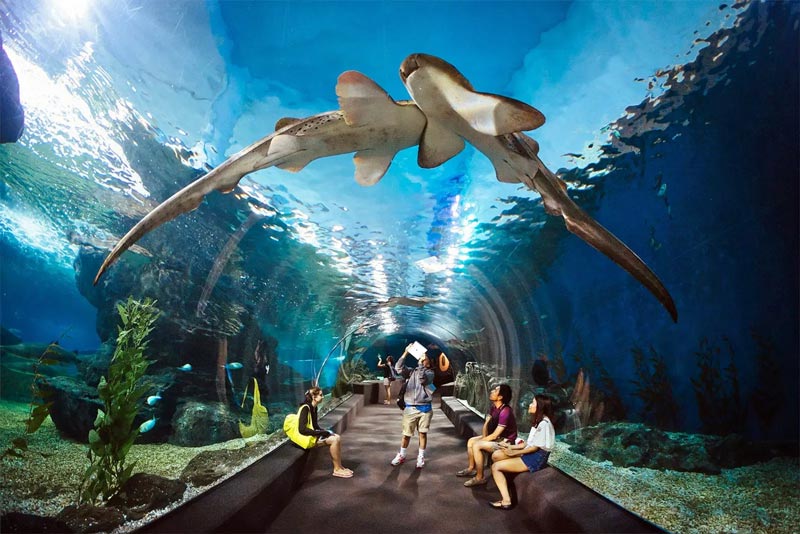 Underwater World Pattaya