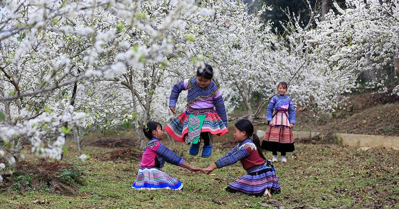 Los niños de la etnia H''Mong juegan en un jardín de ciruelos en Bac Ha