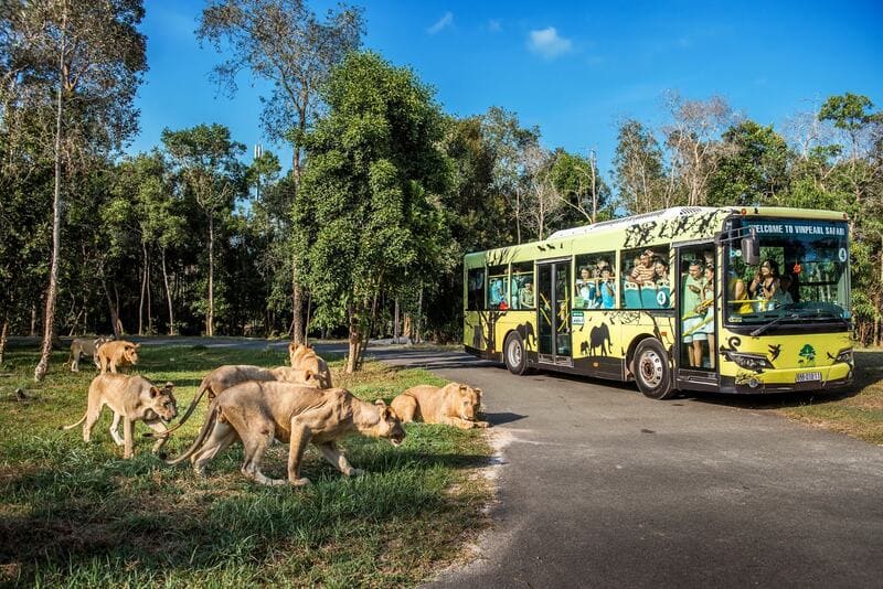 Vinpearl Safari