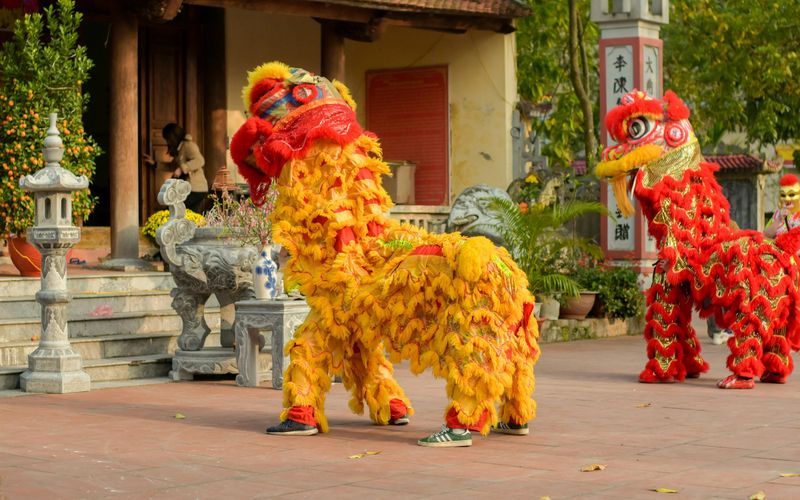 año nuevo en vietnam danza del leon y dragon