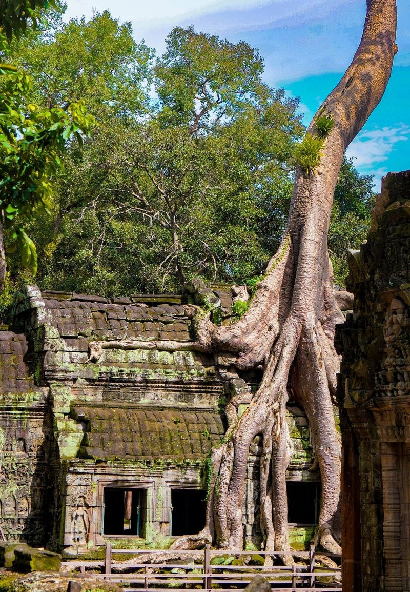 asia en noviembre - angkor en camboya