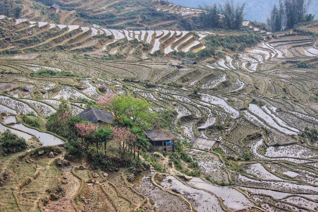 In November, the northern rice paddies are harvested, but the atmosphere is quiet, away from the crowds, ideal for an authentic discovery