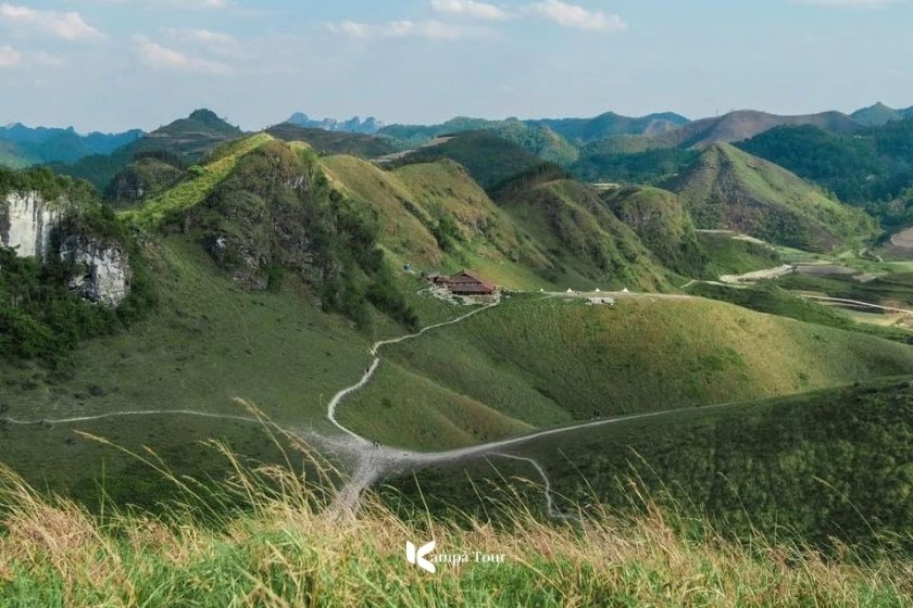 Ba Quang Burning grass hill