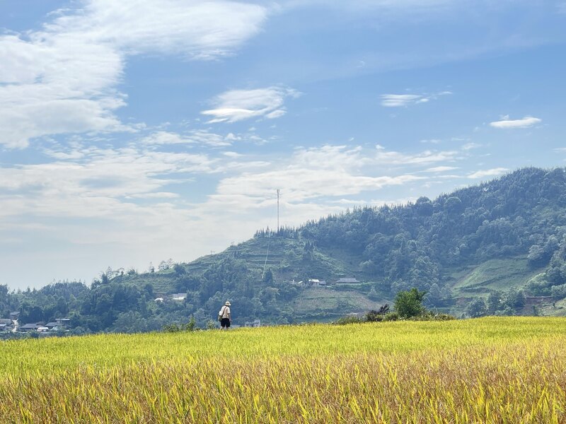 Oliver Phung and my trekking trip in Bac Ha