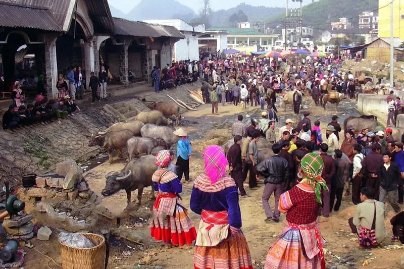 Farmers trading buffaloes at Bac Ha Friday livestock market