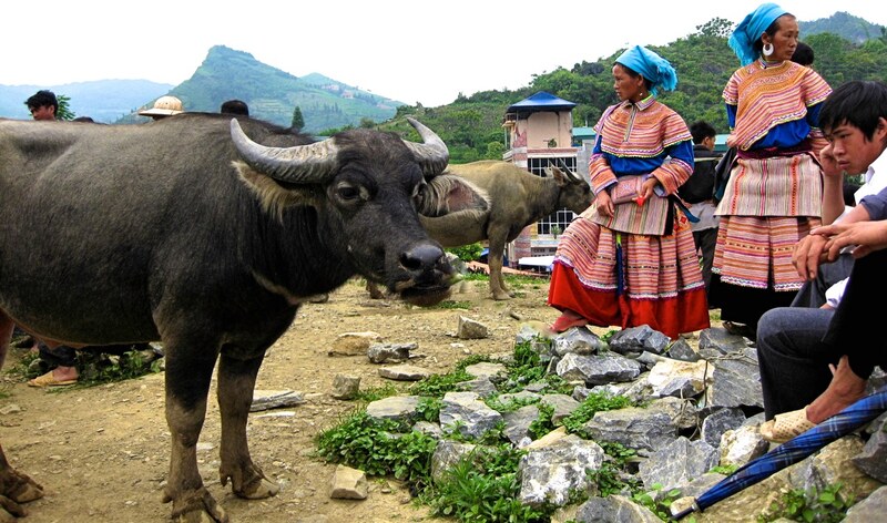 Flower Hmong women selling colorful textiles at Sin Cheng Market