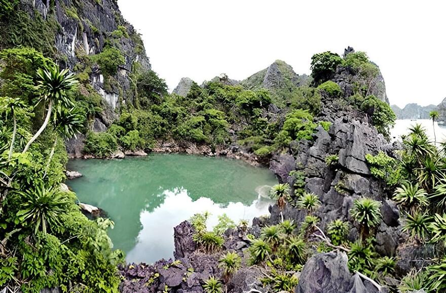 Bai Tu Long national park