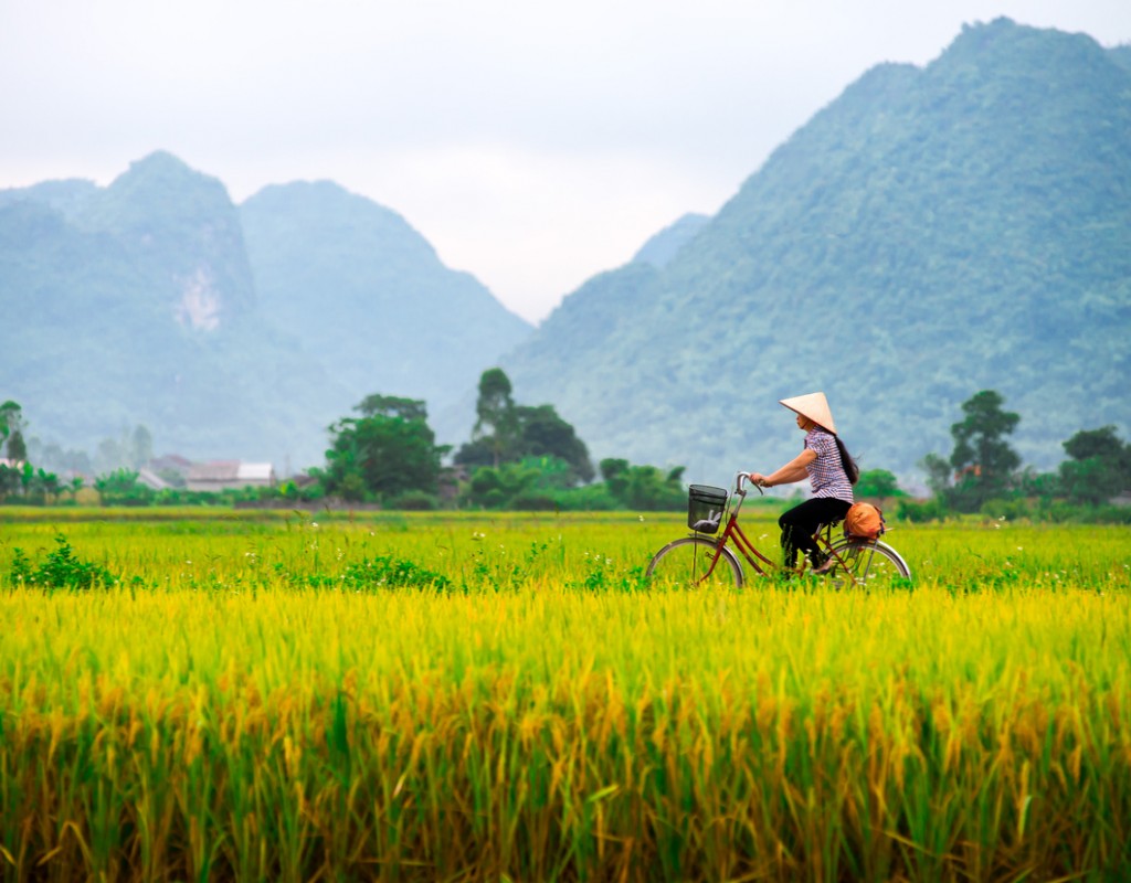 voyage au Vietnam en couple