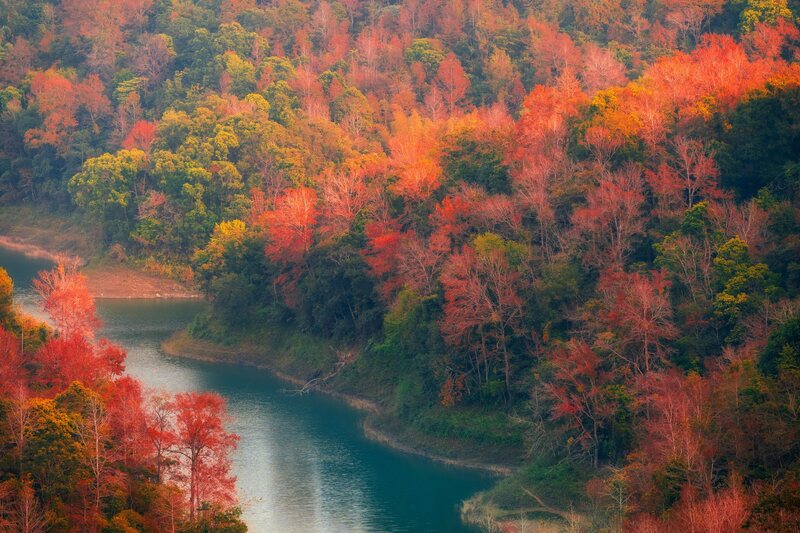 Ban Viet Lake in the season of Red Maple Leaves
