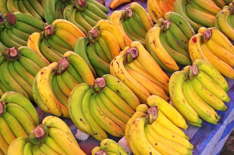 Banana is one of the cheapest fruits