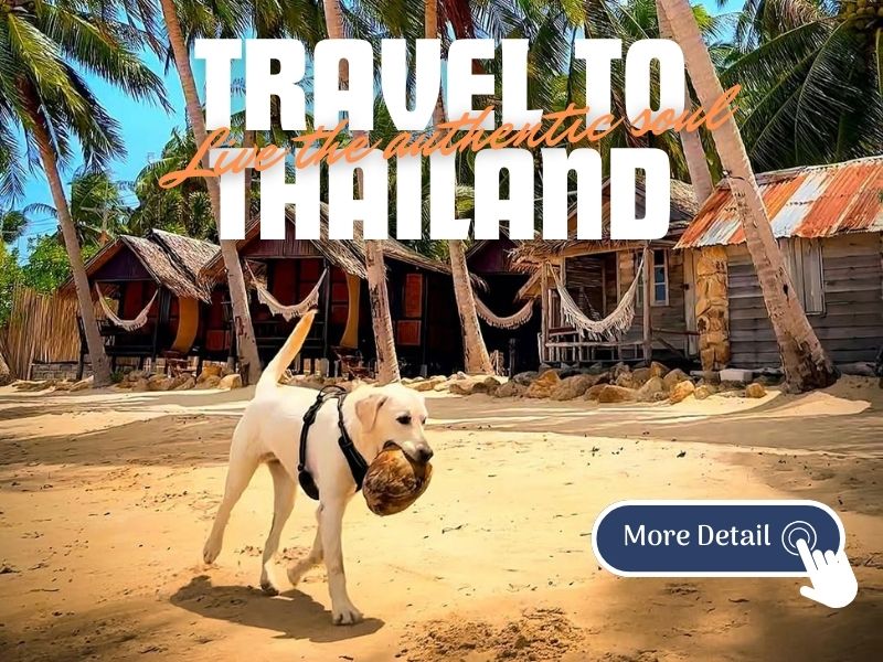 thailand tours