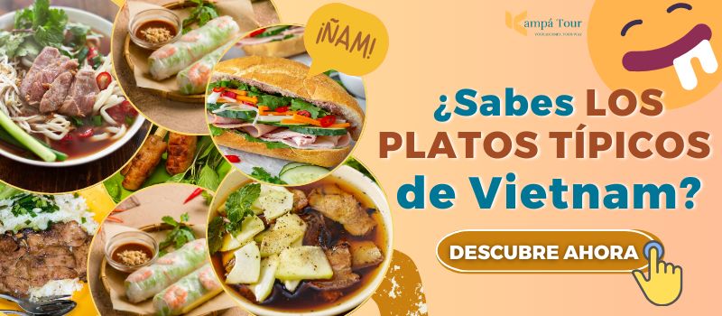 banner platos tipicos vietnam