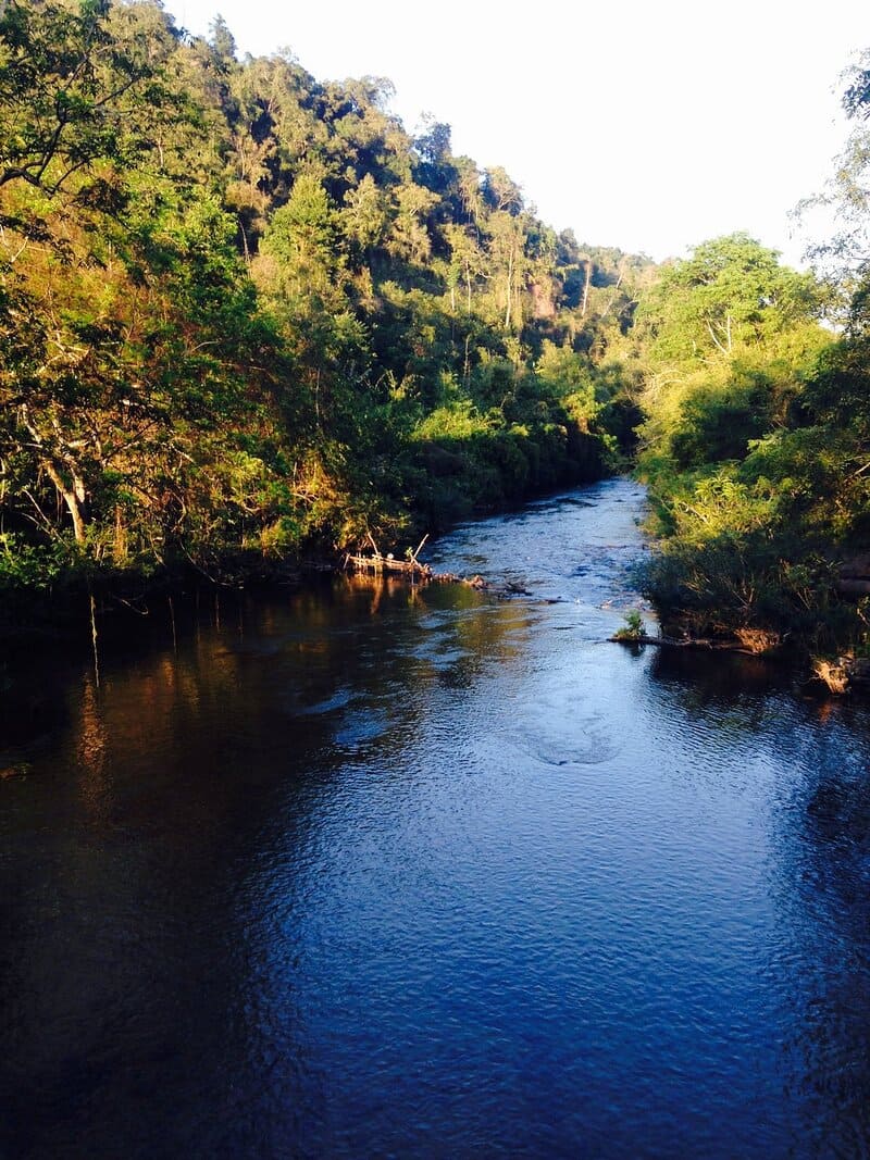 If you're too excited to jump into the water, ask your guide first to avoid the rocks underwater