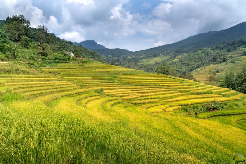 valle de muong hoa