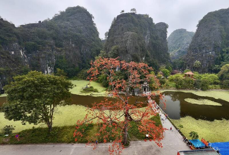 The entrance to Bích Động Pagoda is worthy of a painting.