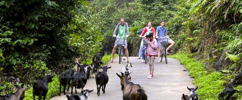 bicicle en la isla de cat ba