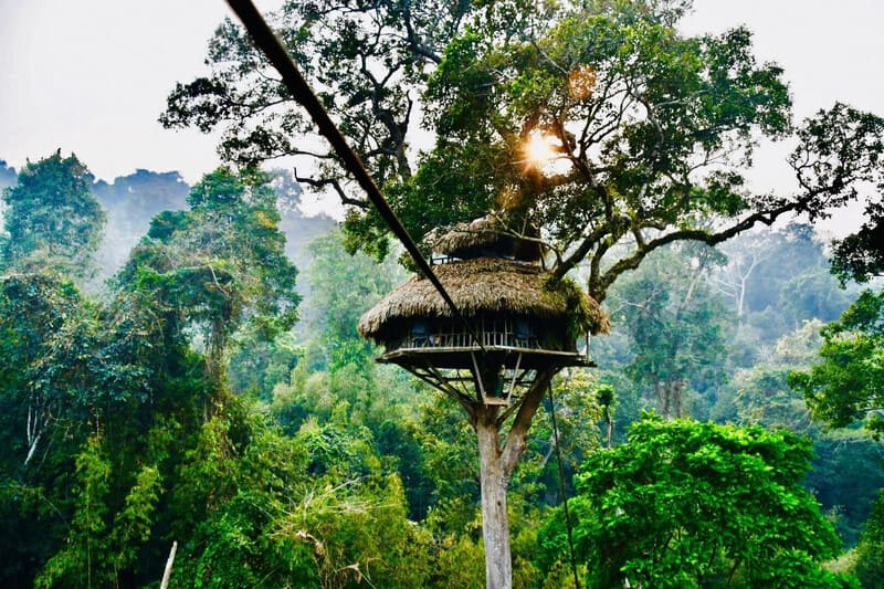 bokeo laos casas en arbol