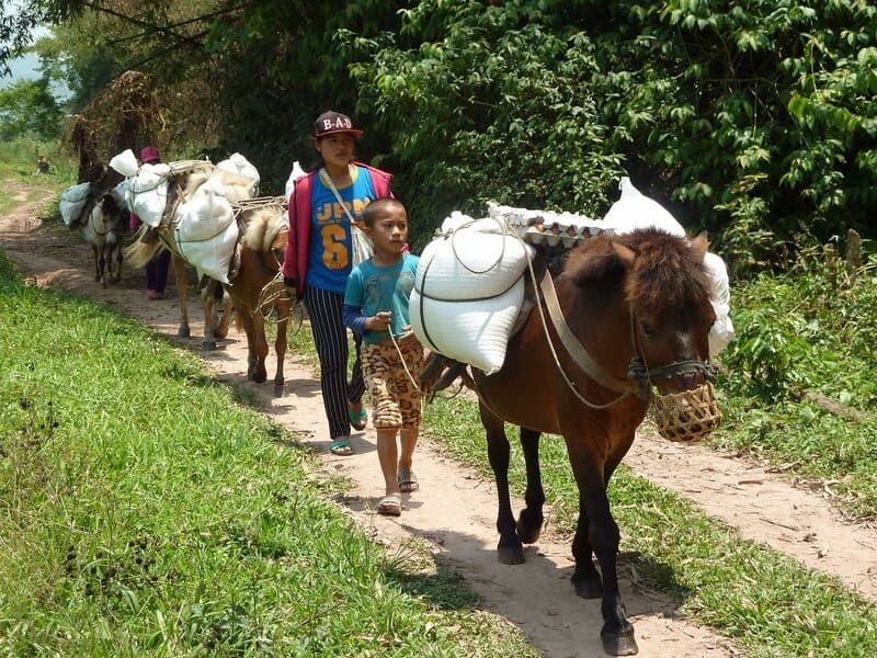 bokeo laos rural