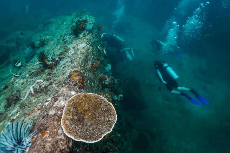 buceo en tailandia