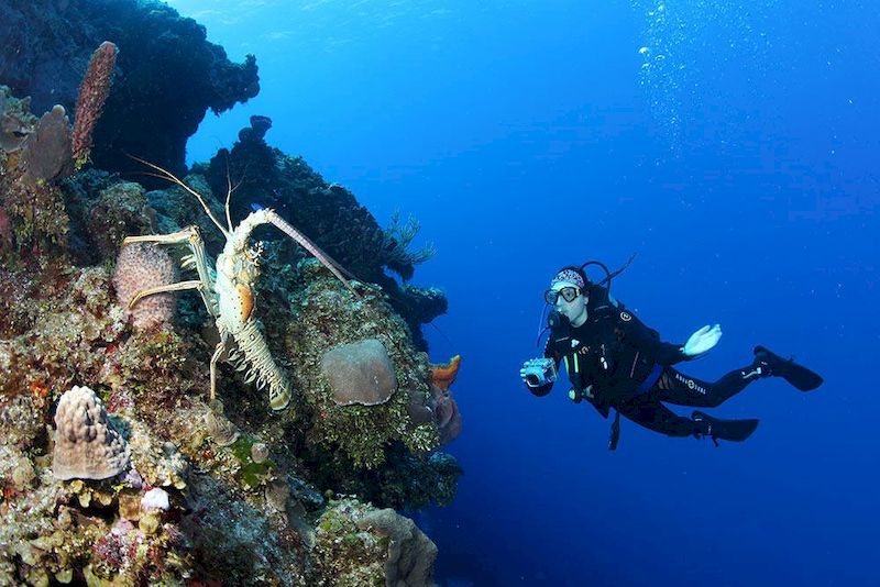 Buceo en las Islas Similan