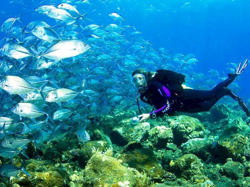 buceo en koh chang