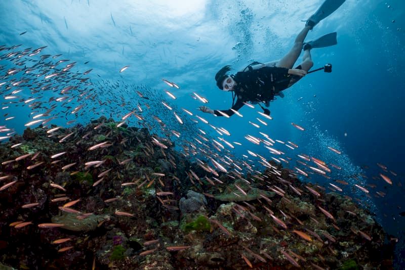 buceo tailandia