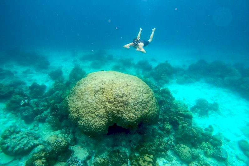 buceo en tailandia