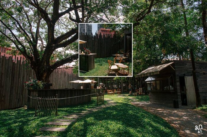 cafeterias bangkok the wood land