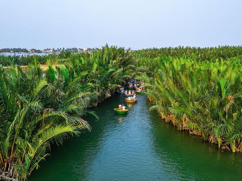 The ideal time to visit the coconut forest is from January to September