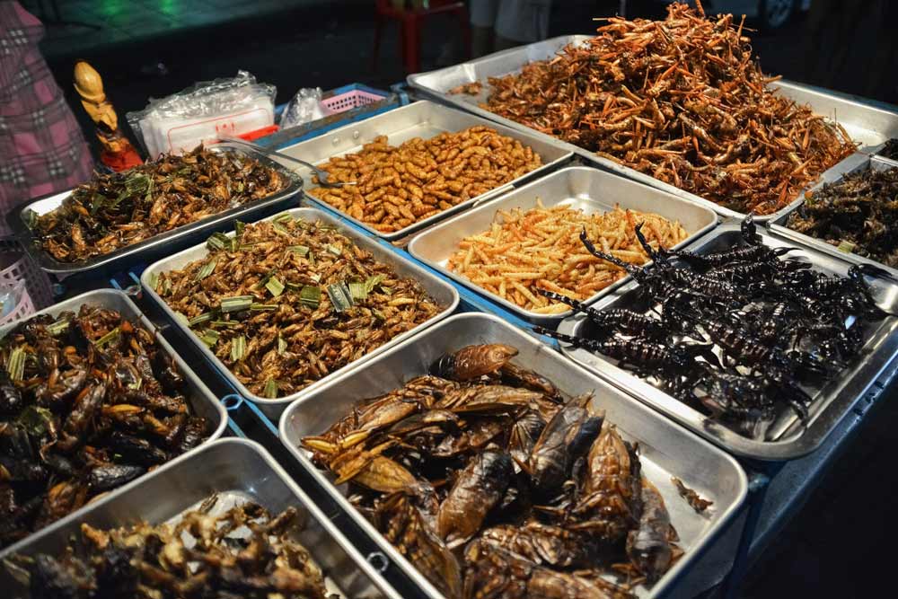 cambodian fried insects