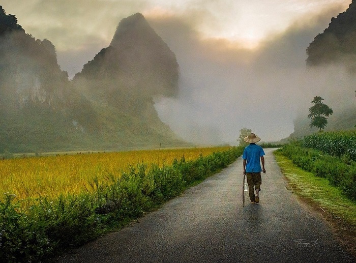 People in Phong Nam are mainly farmers