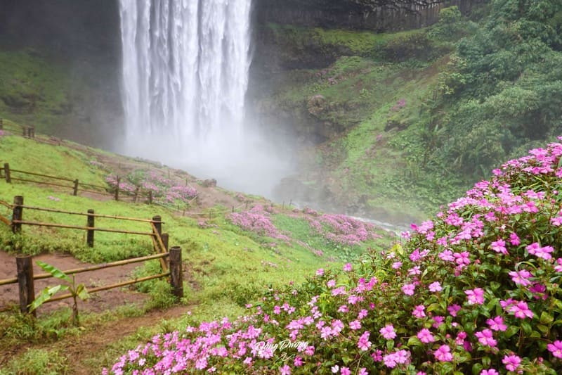 cascada de tad tayicseua en pakse