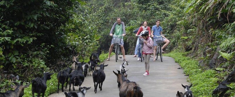 Explore Cat Ba Island''s Authentic Villages by Bike