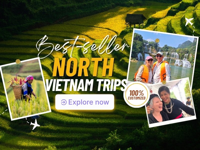 vietnam tours