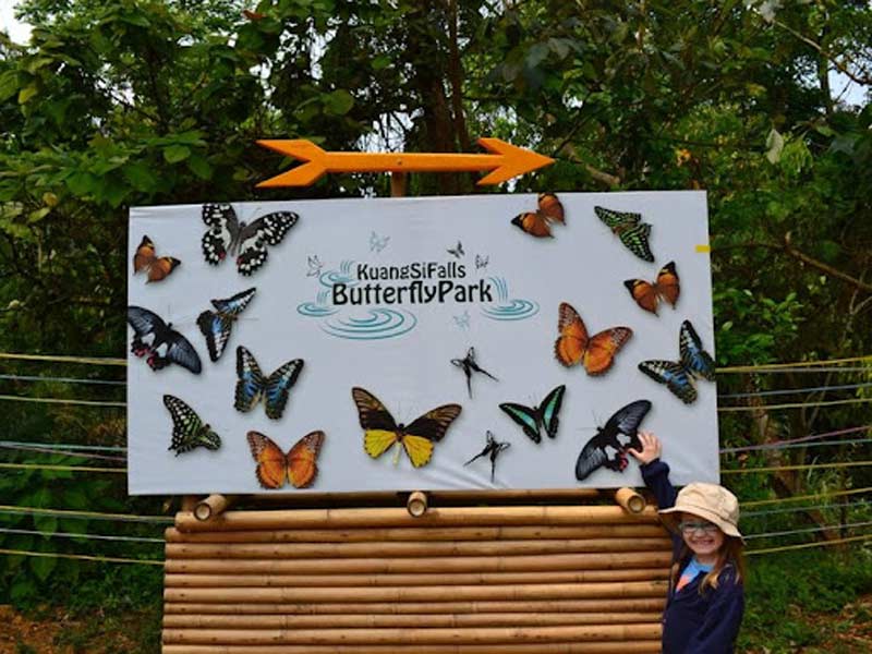 cataratas kuang si parque de mariposas