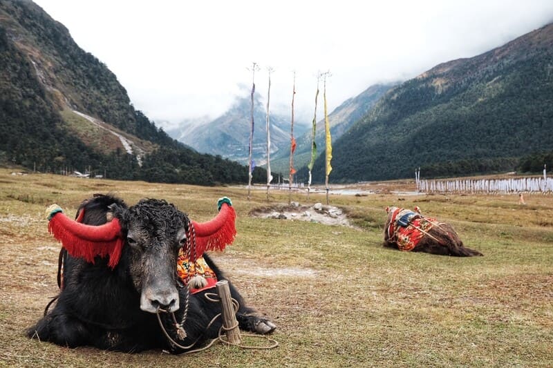 destinos en asia - india