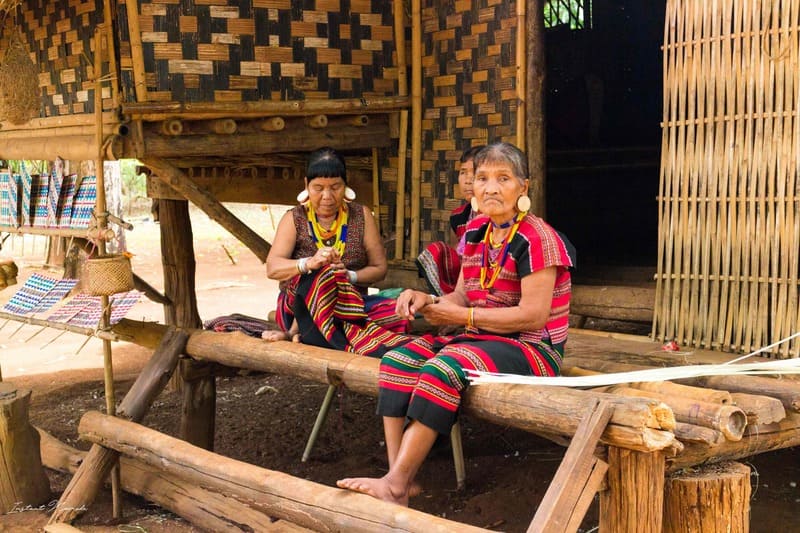 Ethnic minorities wear traditional costumes on a plantation