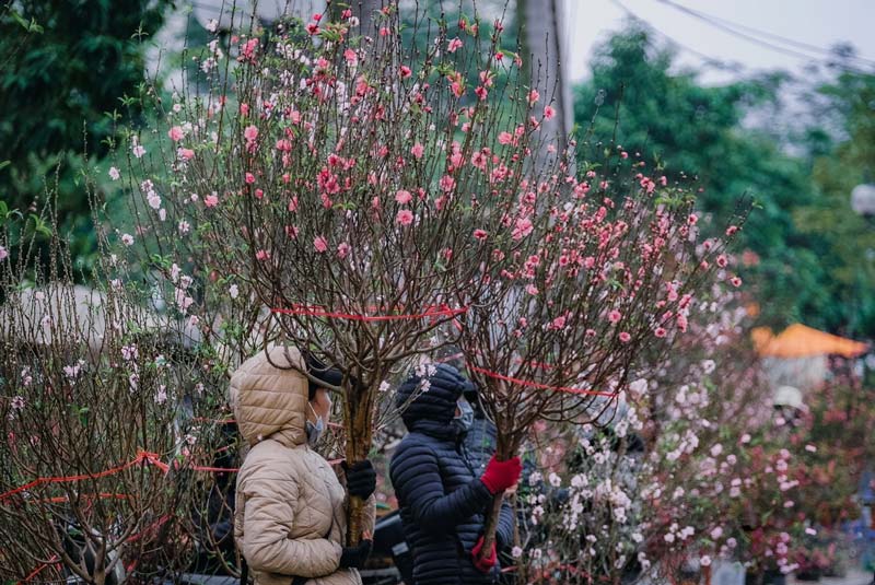 tet flower market