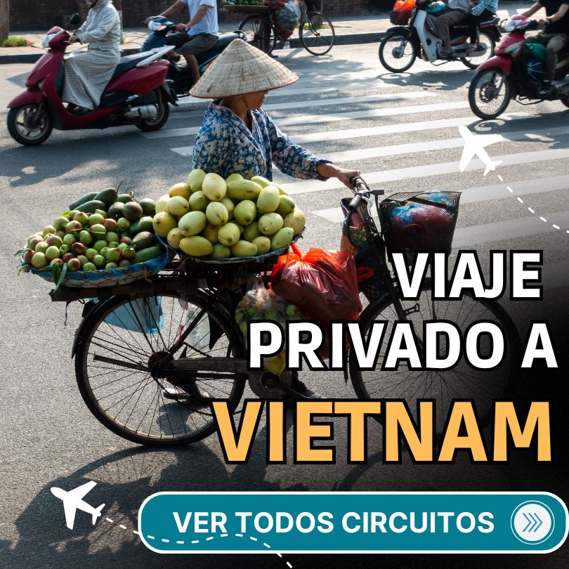 viajes a vietnam  -pinturas vietnamitas