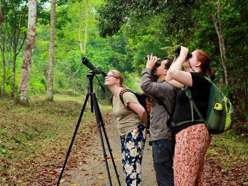 International tourists explore Cuc Phuong National Park.