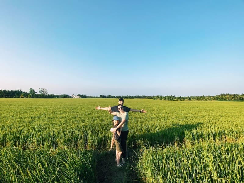 vietnam en diciembre - campos en an giang