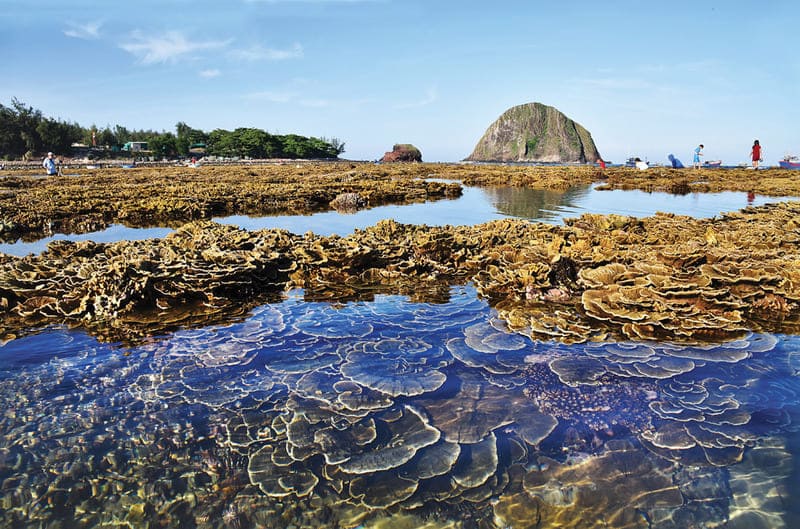 The splendor of the corals of Hon Yen, Phú Yên