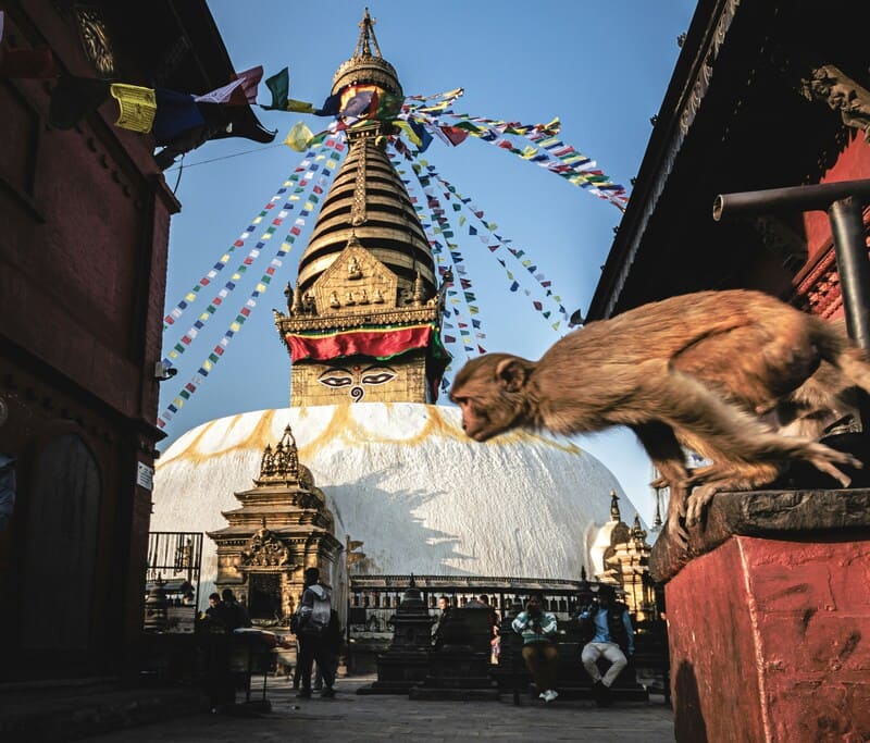 donde viajar en abril nepal