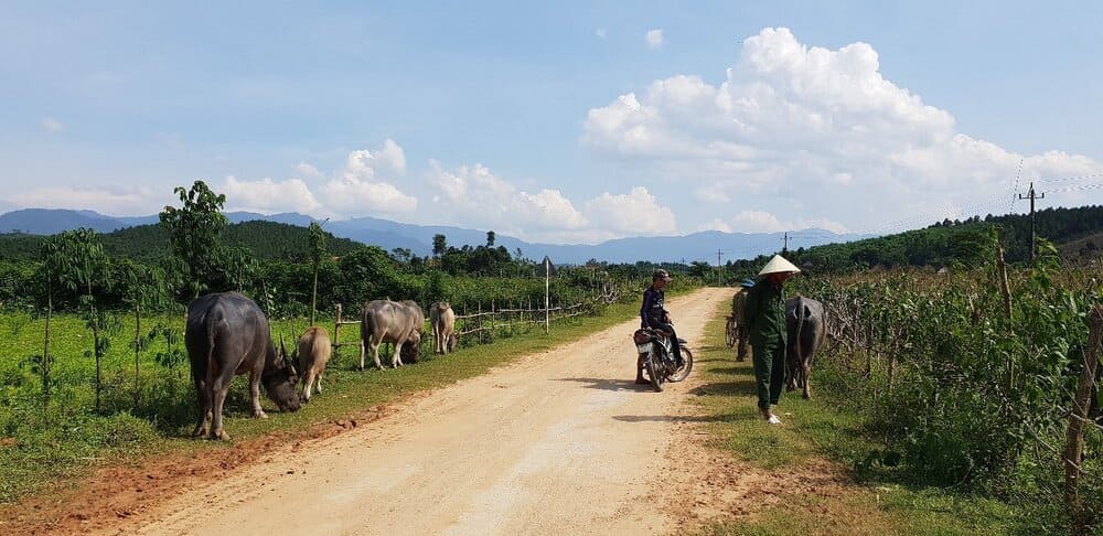 along the ride to Duck stop phong nha