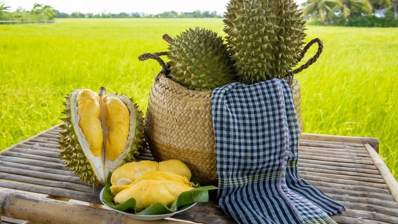 durian vietnam