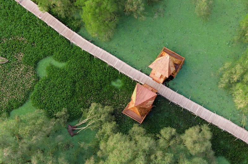 bosque de tram su en delta del mekong